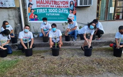 MALUNGGAY. Employees of the National Nutrition Council (NNC) Eastern Visayas regional office in Palo, Leyte plant malunggay tree in buckets. Eastern Visayas launched on Thursday (July 1, 2021) the planting of 1 million malunggay (moringa oleifera) trees as one of the highlights of the 2021 Nutrition Month celebration this month. (Photo courtesy of NNC)